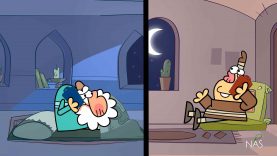 Mokalemehtoolani-site.mp4_snapshot_00.43