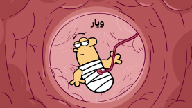 Viar-site.mp4_snapshot_00.00