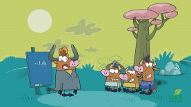 Gavrish-site.mp4_snapshot_00.19_[2021.03.23_17.11.09]