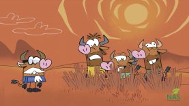 Stiven_Gavking-site.mp4_snapshot_00.50_[2021.03.26_16.54.27]