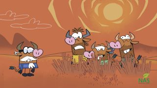 Stiven_Gavking-site.mp4_snapshot_00.50_[2021.03.26_16.54.27]